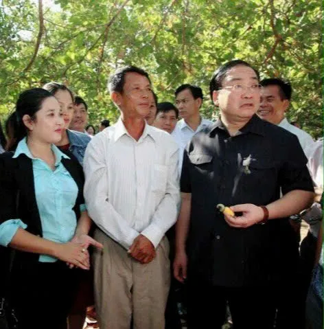 CÂY ĐIỀU