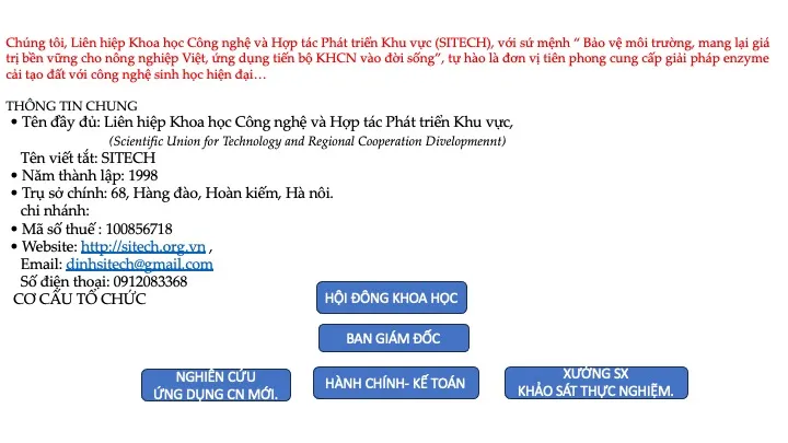 SƠ ĐỒ TỔ CHỨC